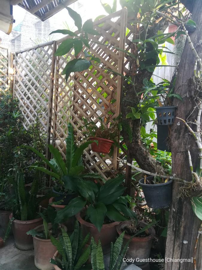 Cody Guesthouse Chiang Mai Dış mekan fotoğraf